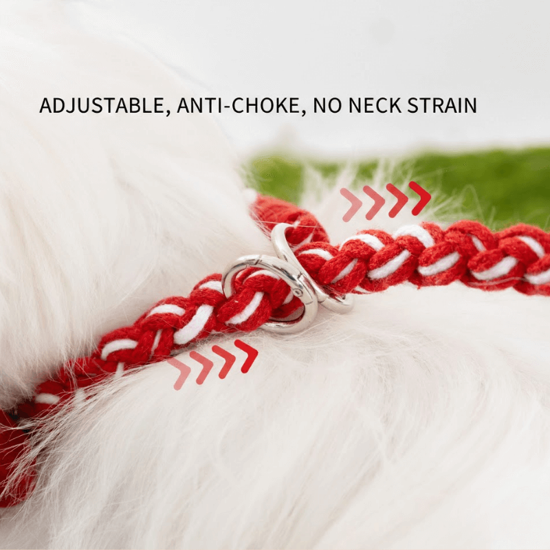 Hand-Woven Dog Collar & Leash Set