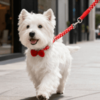 Handgewebtes Hunde-Halsband- und Leinen-Set