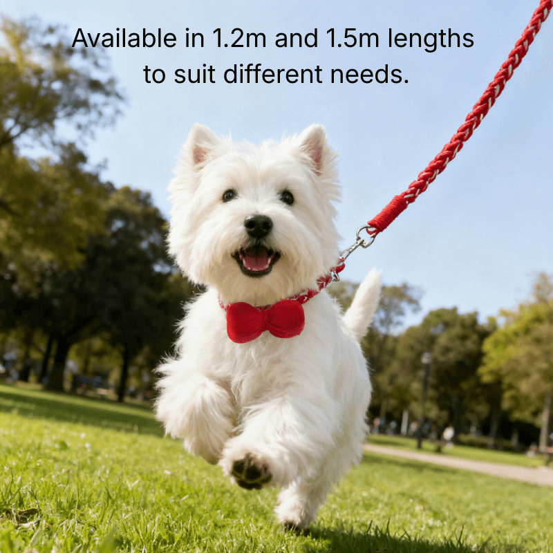 Hand-Woven Dog Collar & Leash Set