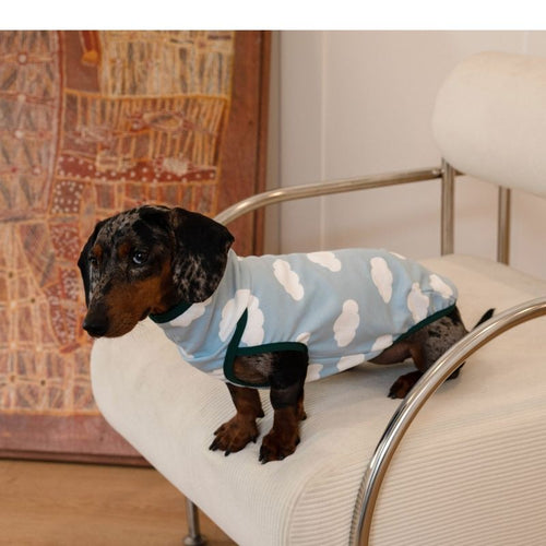 Dachshund Anti-Static Stretch Vest