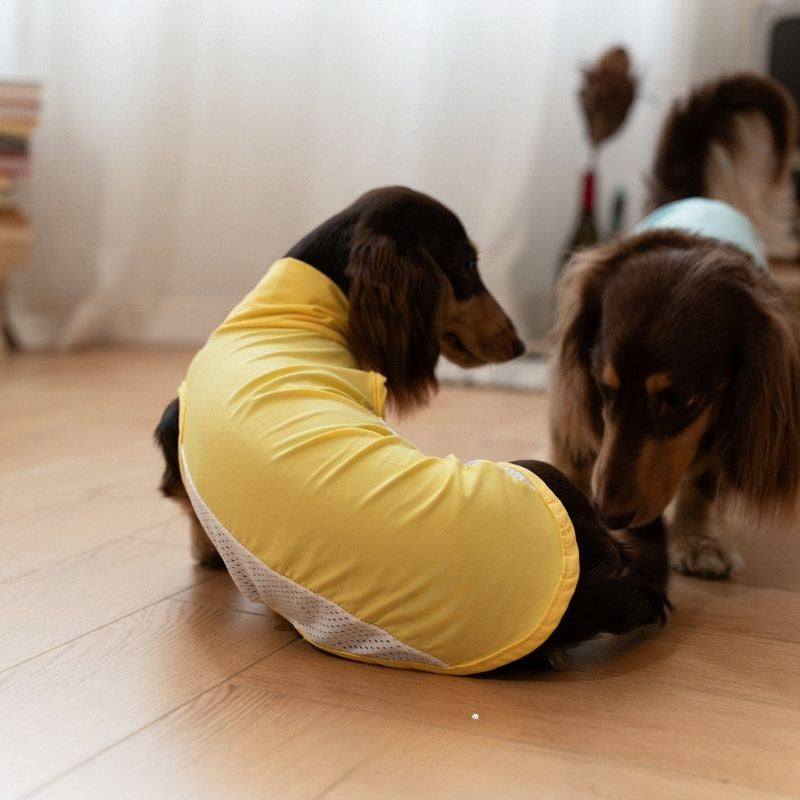 Dachshund Cooling Summer Clothing