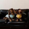 Dachshund Cooling Summer Clothing