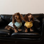 Dachshund Cooling Summer Clothing