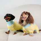 Dachshund Cooling Summer Suit - Yellow