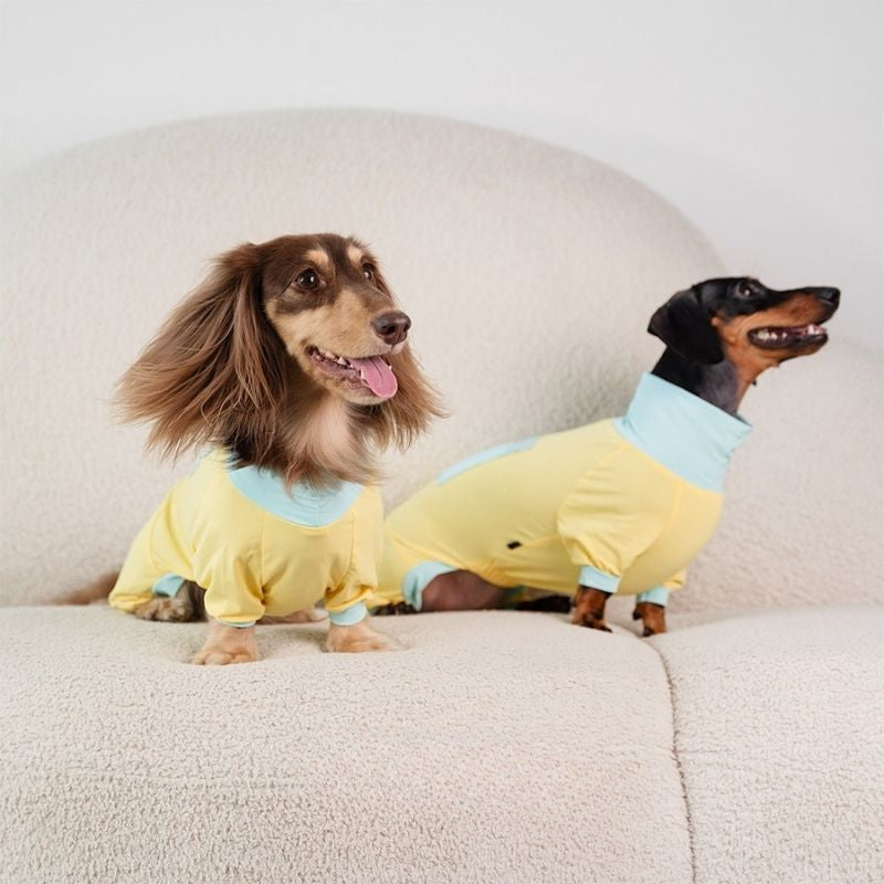 Dachshund Cooling Summer Suit - Yellow