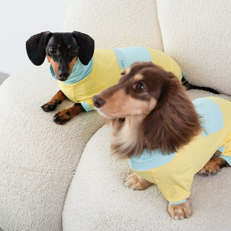 Dachshund Cooling Summer Suit - Yellow