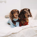 Dachshund Fleece Dog Onesie