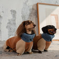 Dachshund Fleece Winter Onesie