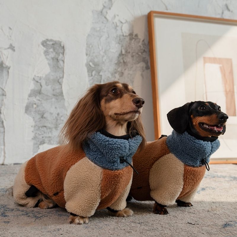 Dachshund Fleece Winter Onesie