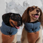 Dachshund Fleece Winter Onesie