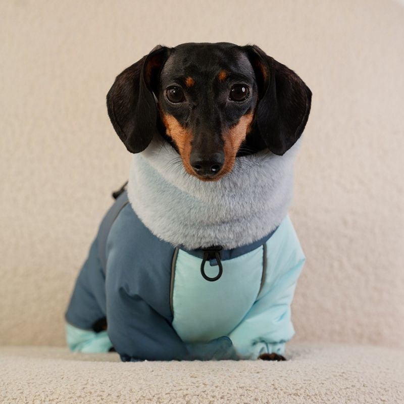 Dachshund Padded Winter Coat