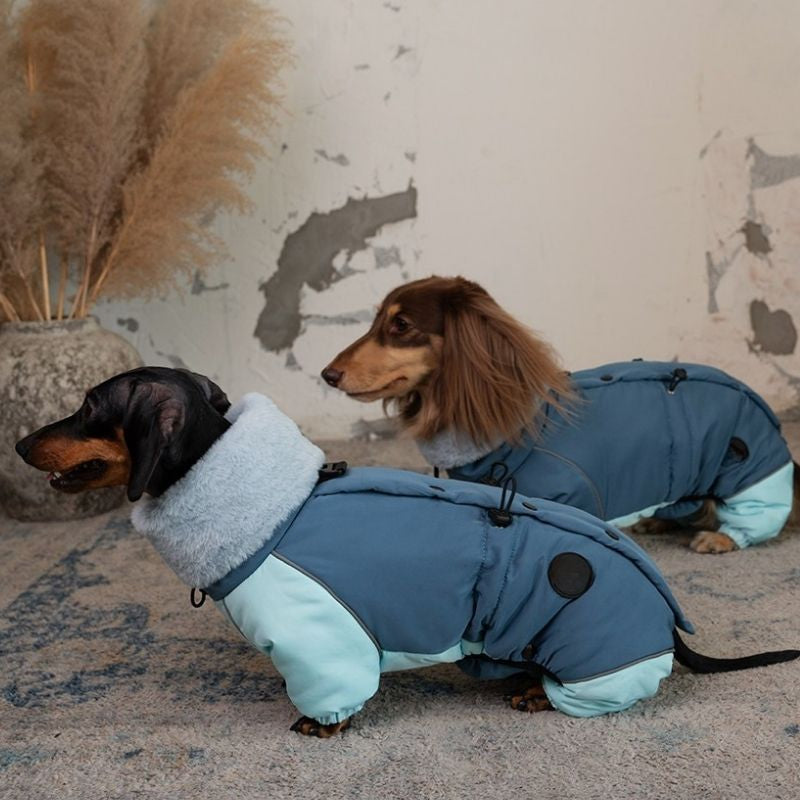 Dachshund Padded Winter Coat