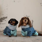 Dachshund Padded Winter Coat
