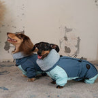 Dachshund Padded Winter Coat