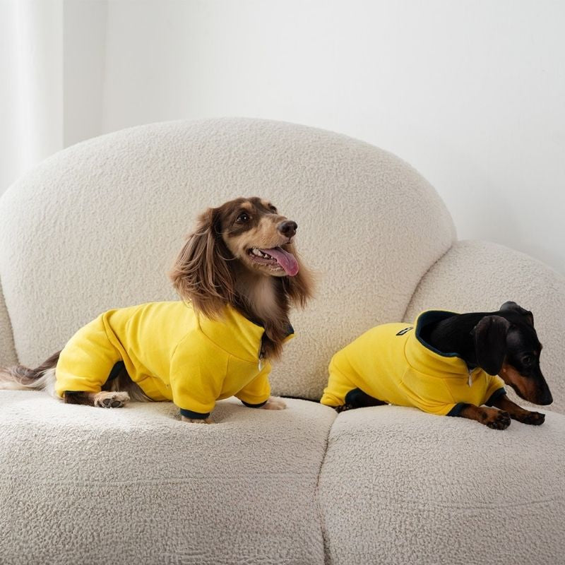 Stretch polo outfit for dachshunds