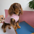 Dachshund Summer Breathable Vest