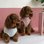 Dachshund Summer Breathable Vest