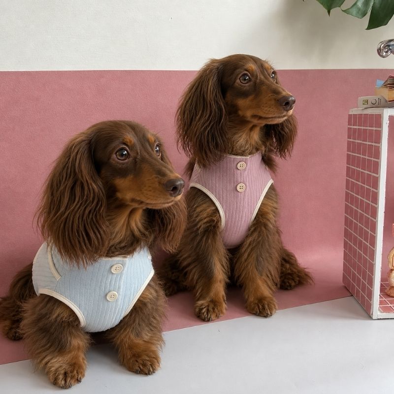 Dachshund Summer Breathable Vest