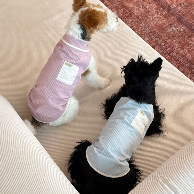 Dachshund Summer Breathable Vest