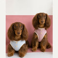 Dachshund Summer Breathable Vest