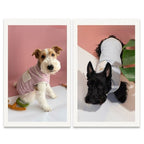 Dachshund Summer Breathable Vest