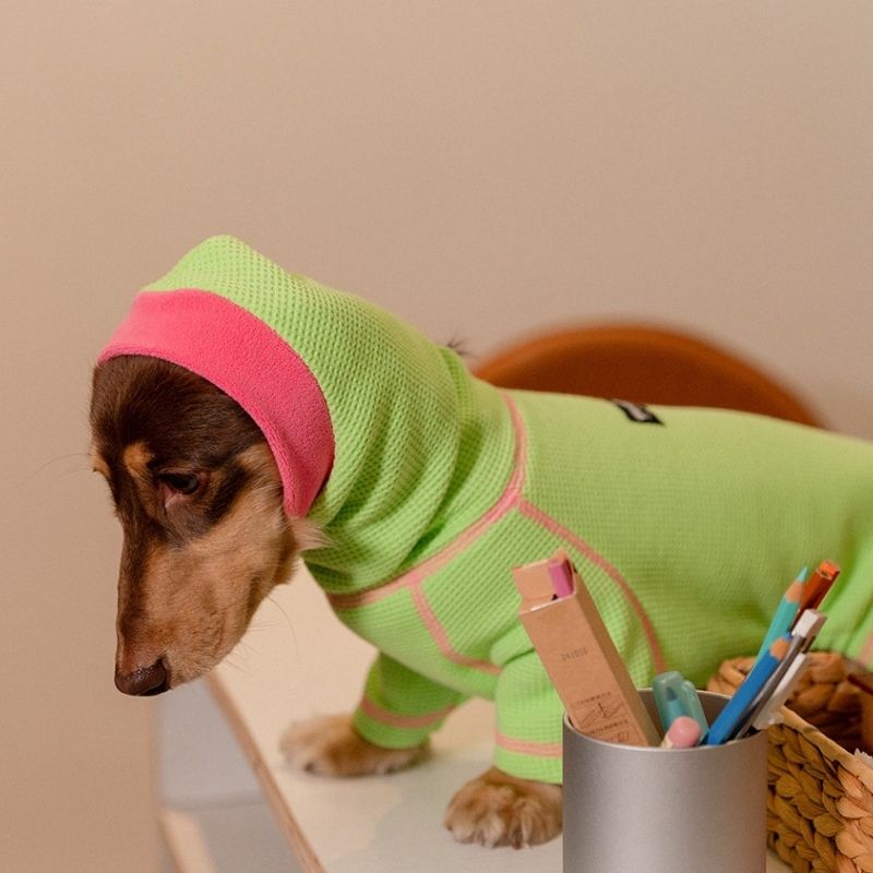 Soft waffle knit fabric for dachshunds