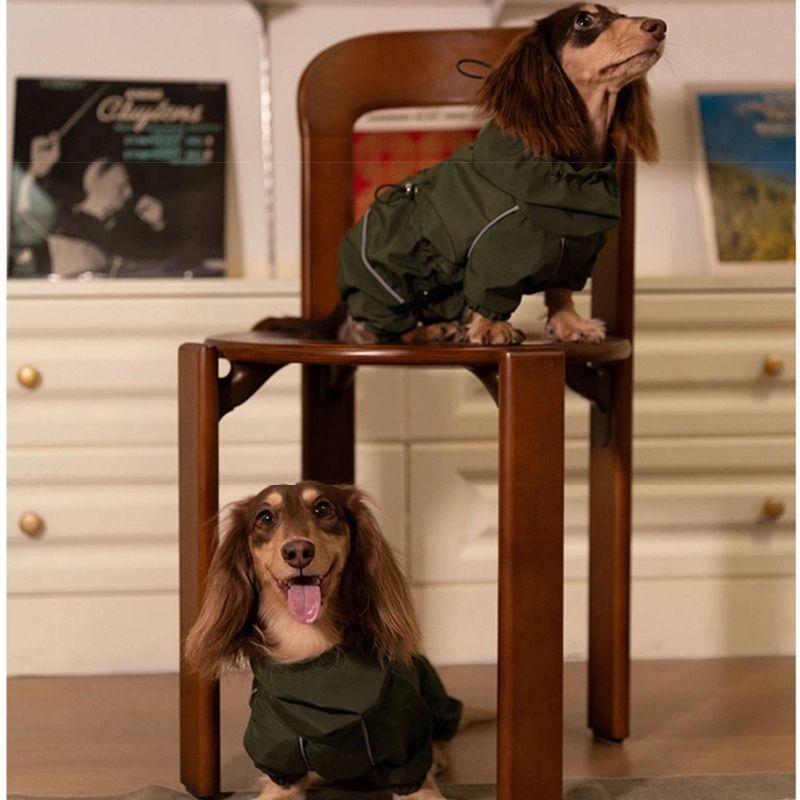 Dachshund Waterproof Outdoor Jacket