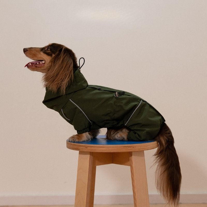 Dachshund Wasserdichte Outdoor-Jacke