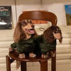 Dachshund Wasserdichte Outdoor-Jacke