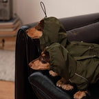 Dachshund Wasserdichte Outdoor-Jacke