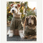 Dachshund Windproof Outdoor Jacket