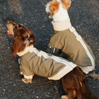 Dachshund Windproof Outdoor Jacket