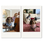 Dachshund Winter Knit Vest