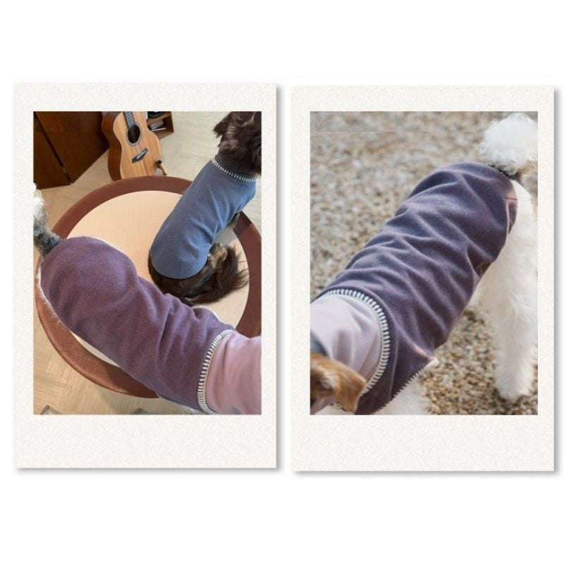 Dachshund Winter Knit Vest