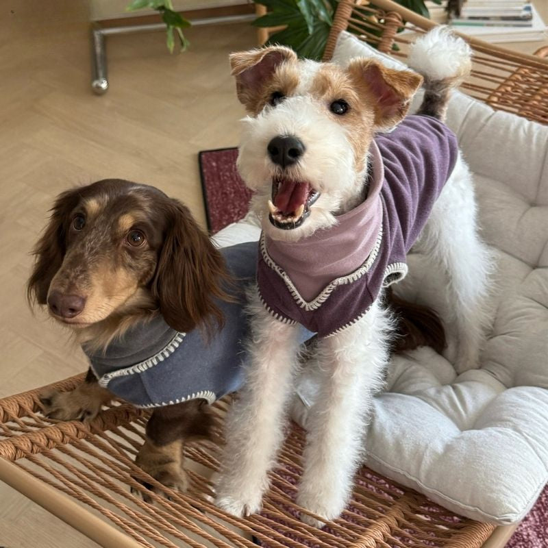 Dachshund Winter Knit Vest