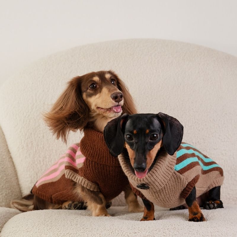 Dachshund winter sweater vest available in multiple colors