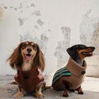 Dachshund Winter Sweater Vest