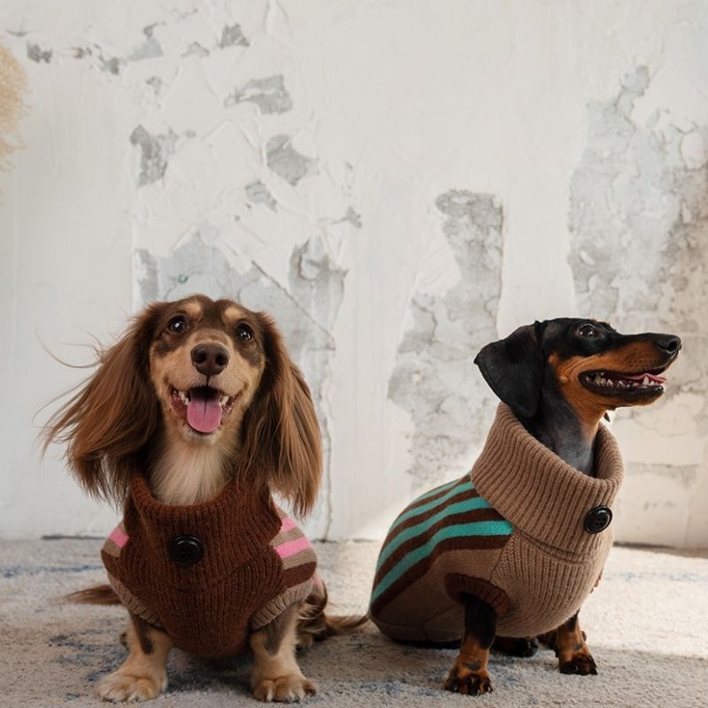 Dachshund Winter Sweater Vest