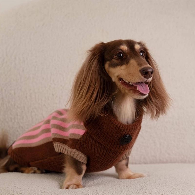 Dachshund Winter Sweater Vest