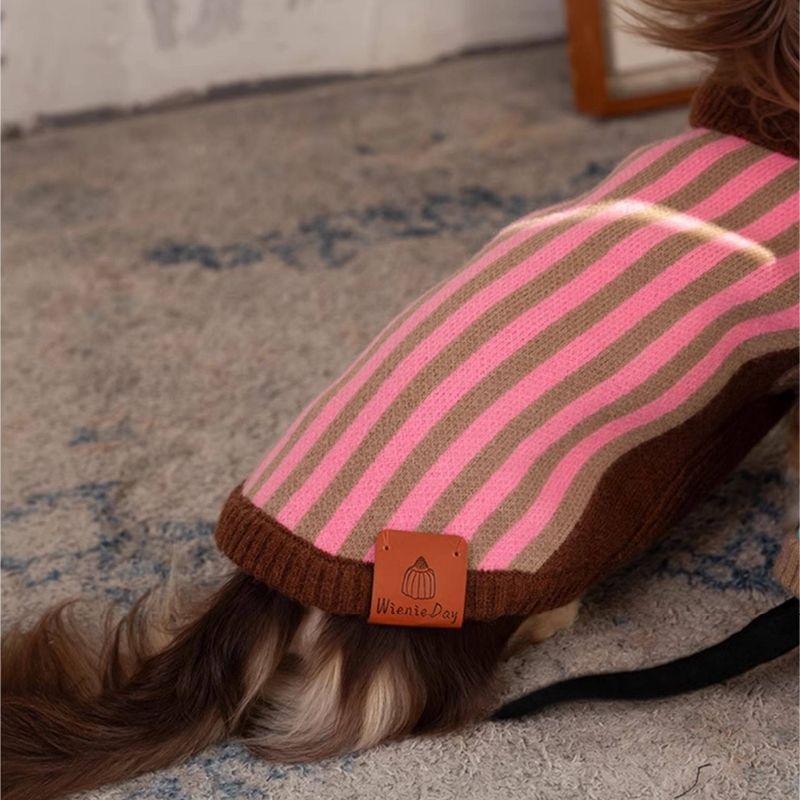 Cute weenie dog sweater for winter walks
