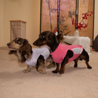 Dachshund Cooling Summer Clothing