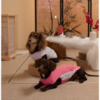 Dachshund Cooling Summer Clothing