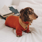 Dachshund Fleece Dog Onesie