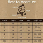 Dachshund Fleece Winter Onesie