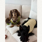 Dachshund Summer Knit Color-Block Vest