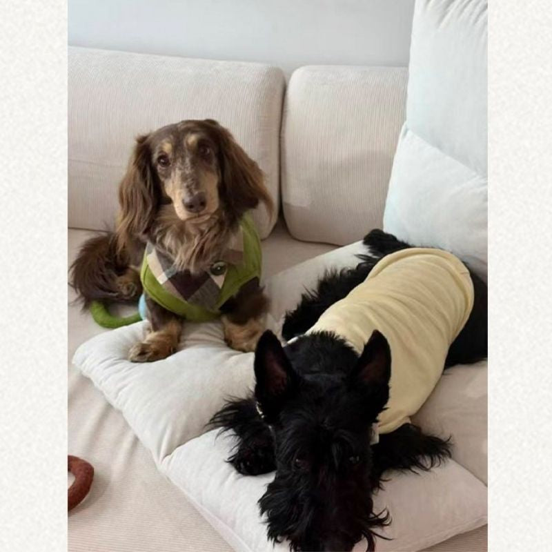Dachshund Summer Knit Color-Block Vest