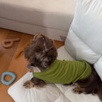 Dachshund Summer Knit Color-Block Vest