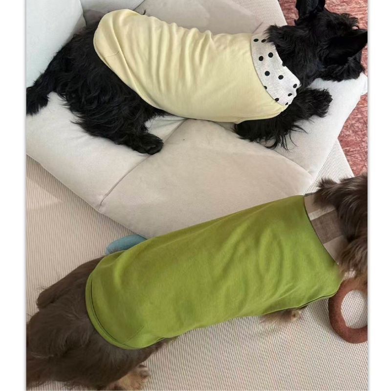 Dachshund Summer Knit Color-Block Vest
