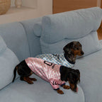 Vintage soccer shirt designed for dachshunds
