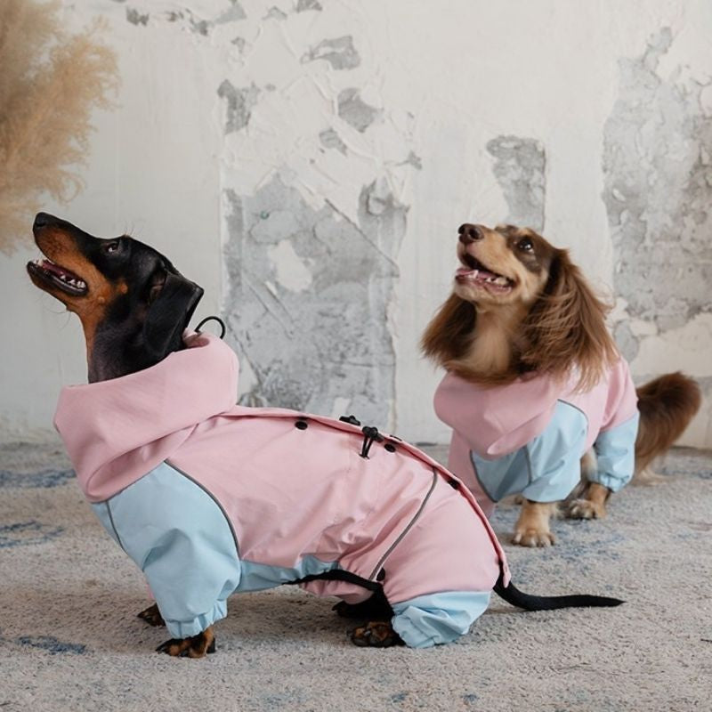 Dackel Wasserfeste Outdoorjacke - Pink&Blau